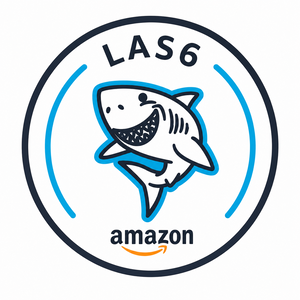 Team Page: Amazon LAS6